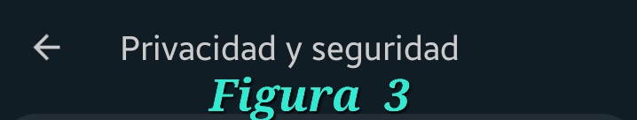 figura 3