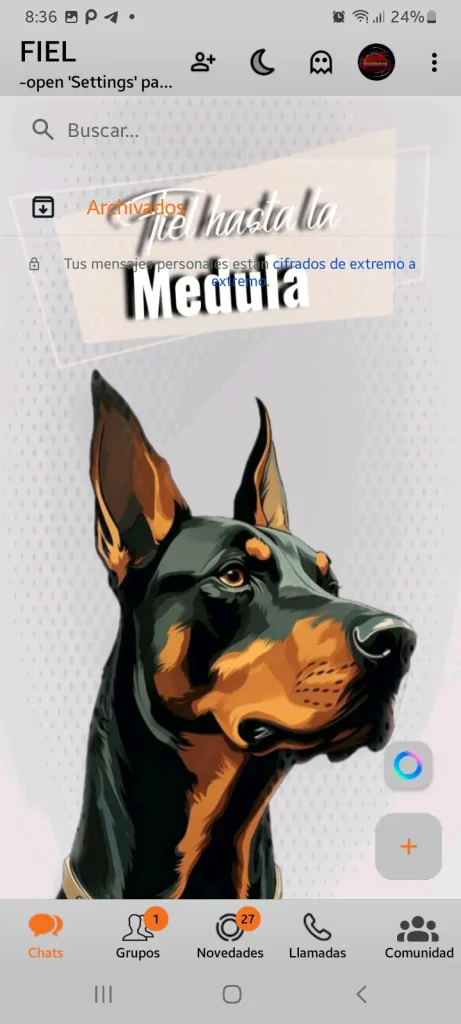 Theme_20